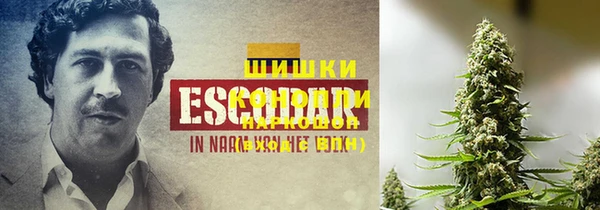 СК Нея